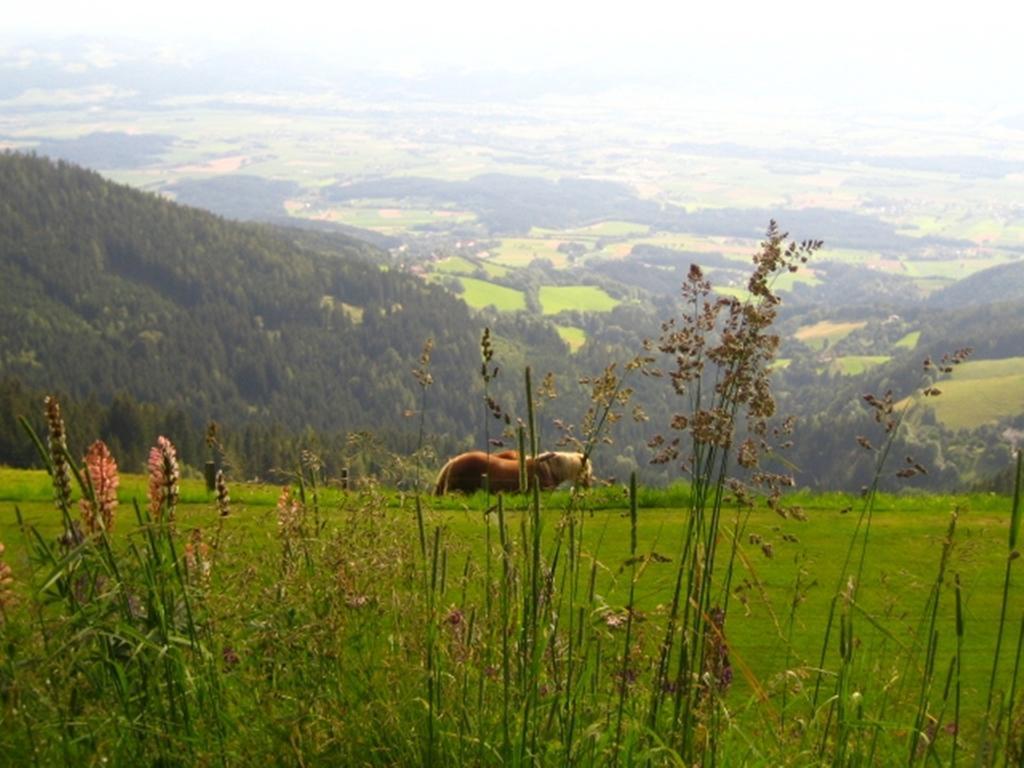 Alpenhotel Ozon Wolfgruber Wolfsberg Oda fotoğraf