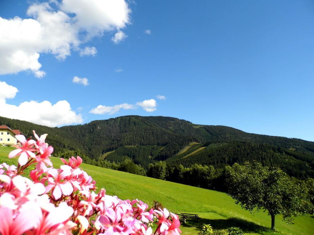 Alpenhotel Ozon Wolfgruber Wolfsberg Oda fotoğraf