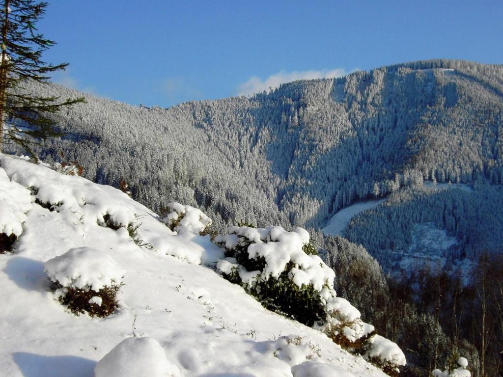 Alpenhotel Ozon Wolfgruber Wolfsberg Dış mekan fotoğraf