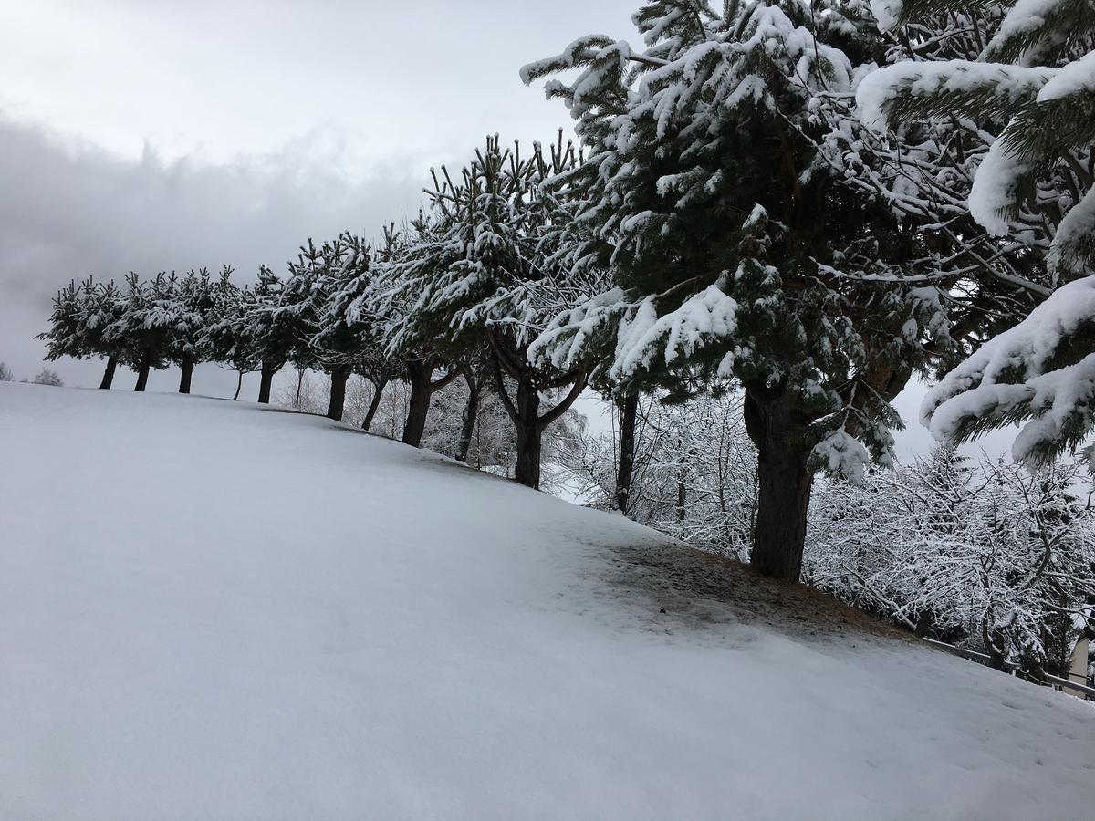 Alpenhotel Ozon Wolfgruber Wolfsberg Dış mekan fotoğraf